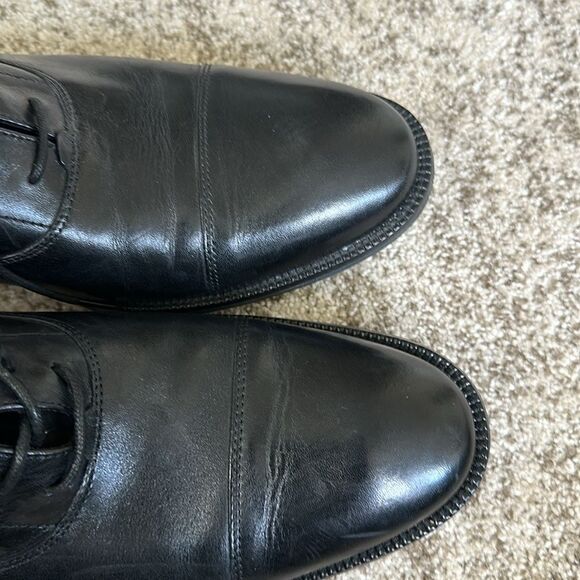 Cole Haan Modern Essentials Waterproof Cap Toe Oxfords 12 - Picture 3 of 9